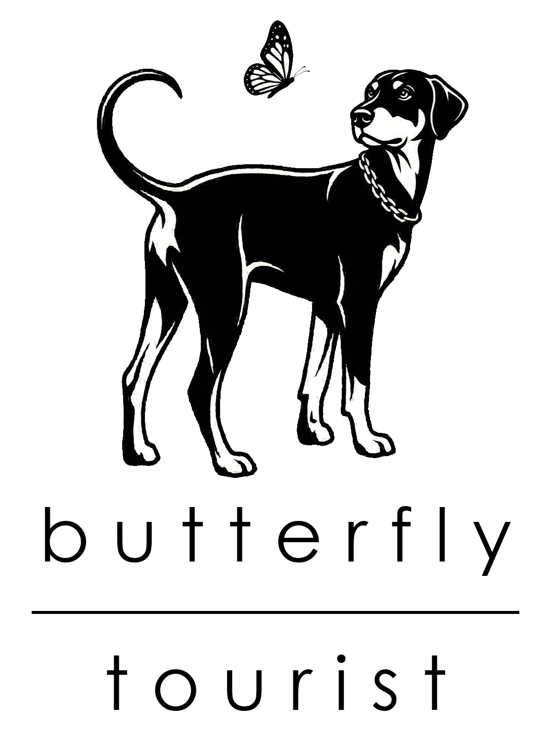 butterflytourist.com